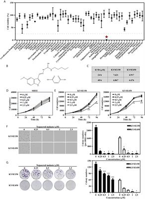 Tegaserod Maleate Inhibits Esophageal Squamous Cell Carcinoma Proliferation by Suppressing the Peroxisome Pathway